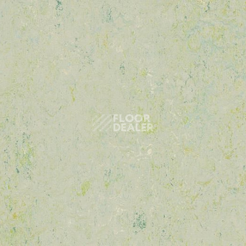 Линолеум Forbo Marmoleum Marbled Splash 3430-343035 salsa verde фото 1 | FLOORDEALER